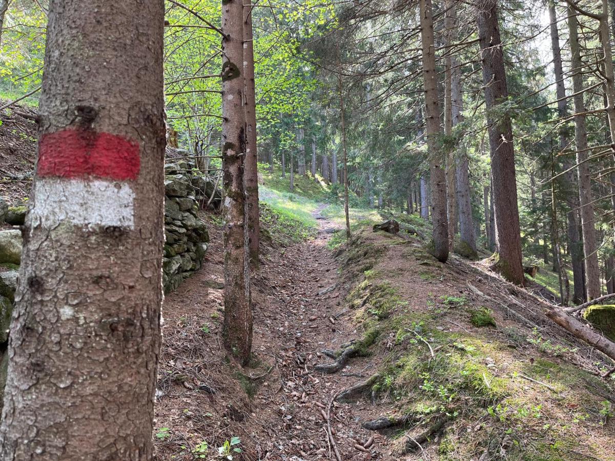 Haus Seebach Mallnitz Eksteriør bilde